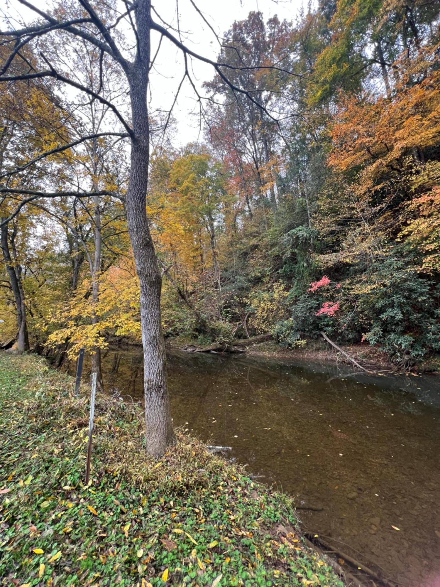 Firefly Fields 2-Acres With Guest House, Game Room, Mountain & River Views Sevierville Zewnętrze zdjęcie
